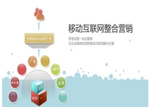 邵明宇的互联网营销模式与销售策略解析